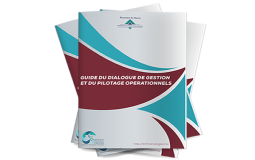 Publication du guide de dialogue de gestion et du pilotage opérationnels